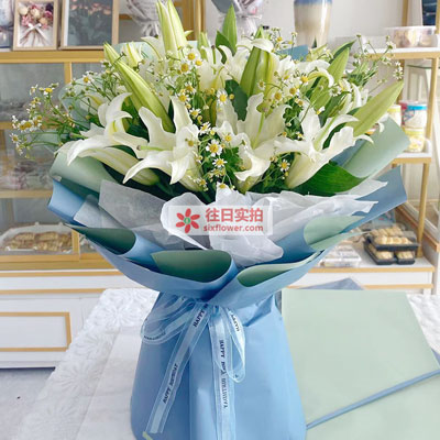 淮北8支白色多头百合洋甘菊，互倾的思念