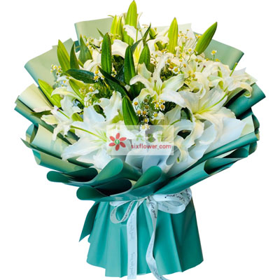 淮北8支白色多头百合洋甘菊，如潮的思念